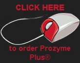 Prozyme® Plus 